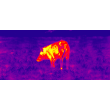ATN Thermal Scope MARS4 HD 384X288 | Warmtebeeld